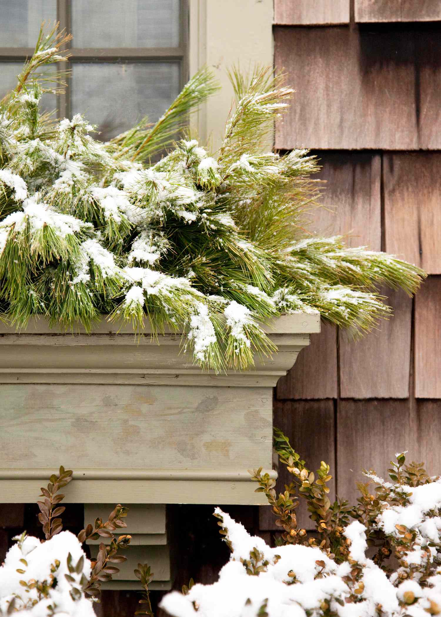 14 Cheerful Winter Container Gardens