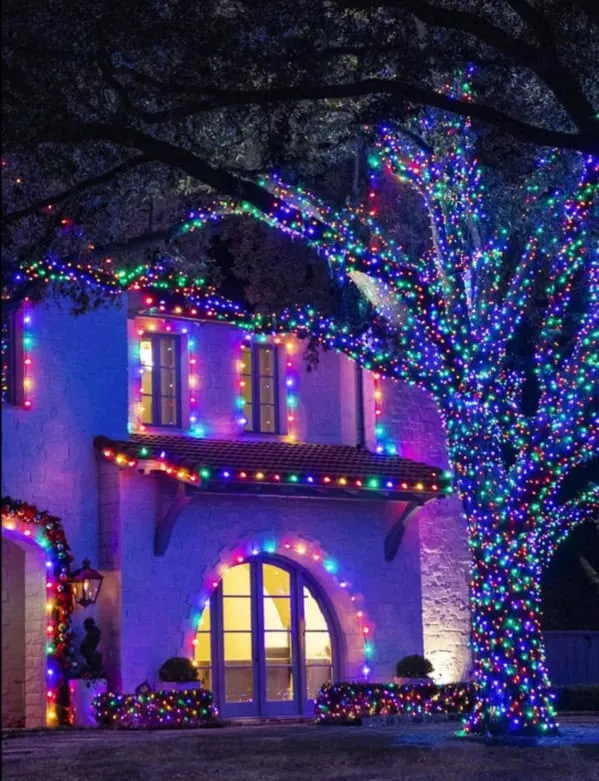 15 Neighborhood Christmas Light Displays That Would Leave Clark Griswold  Speechless
