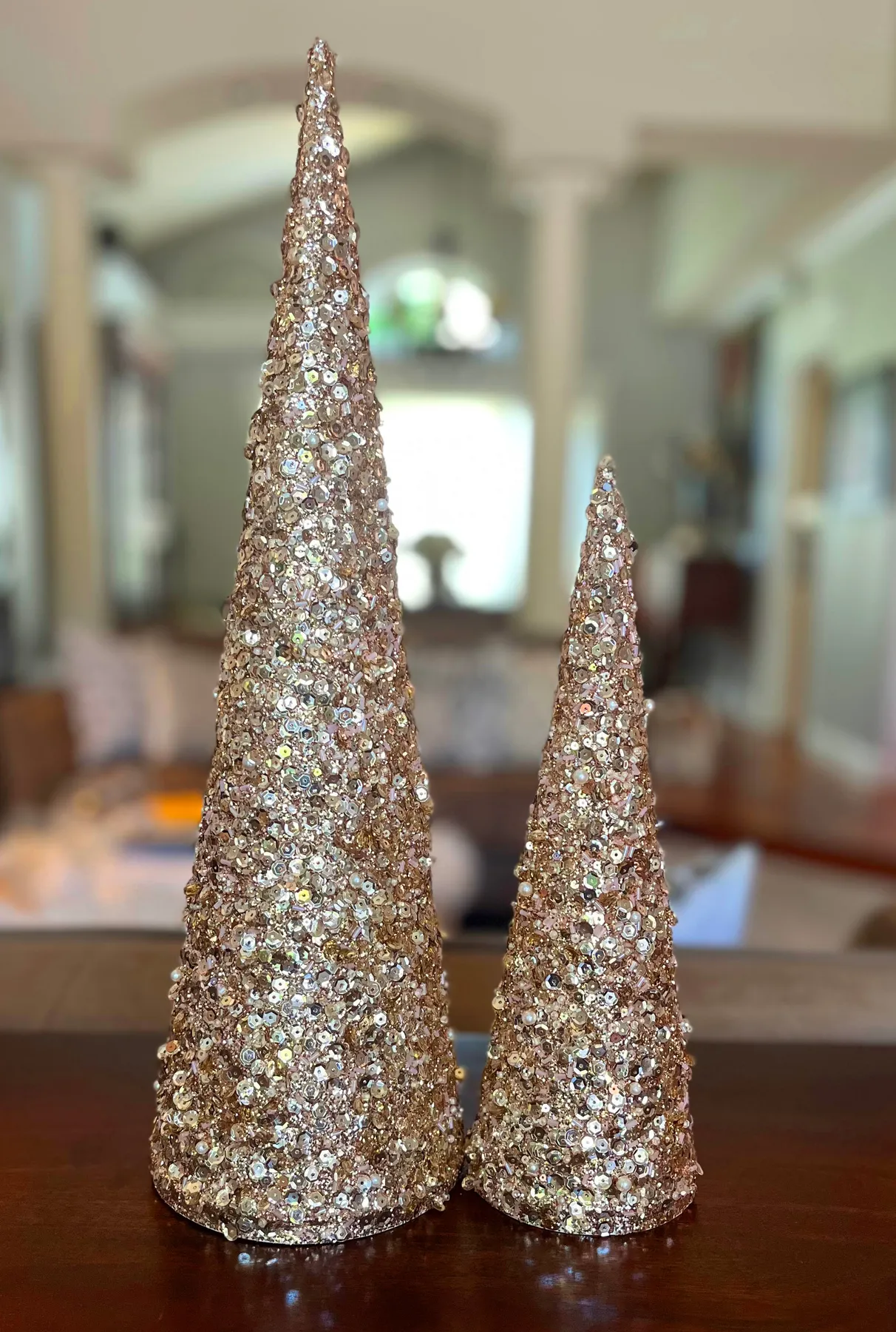 18 Inch and 12 Inch High Jeweled Glittered Christmas Cone Trees, Set o -  Richards Expo
