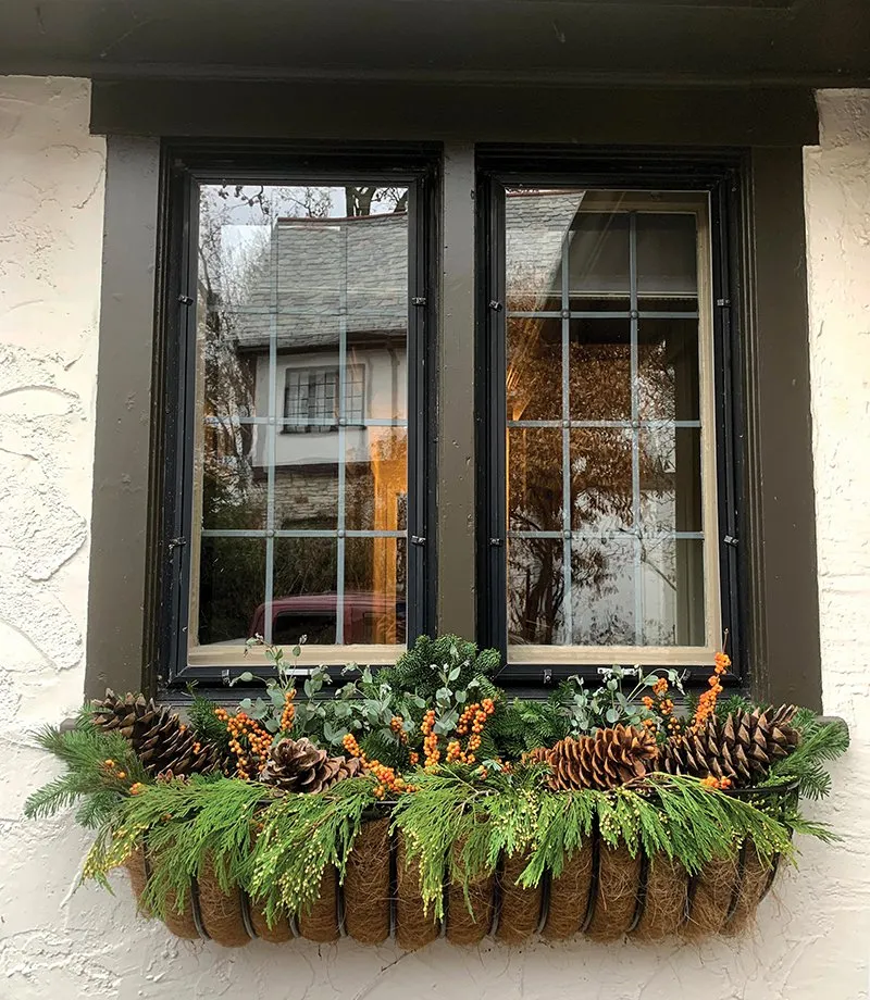 7 tips for planting outdoor window boxes | St. Louis Magazine