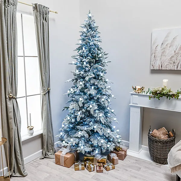 7.5ft Buckingham Fir Artificial Pre-Lit Frosted PE Christmas Tree