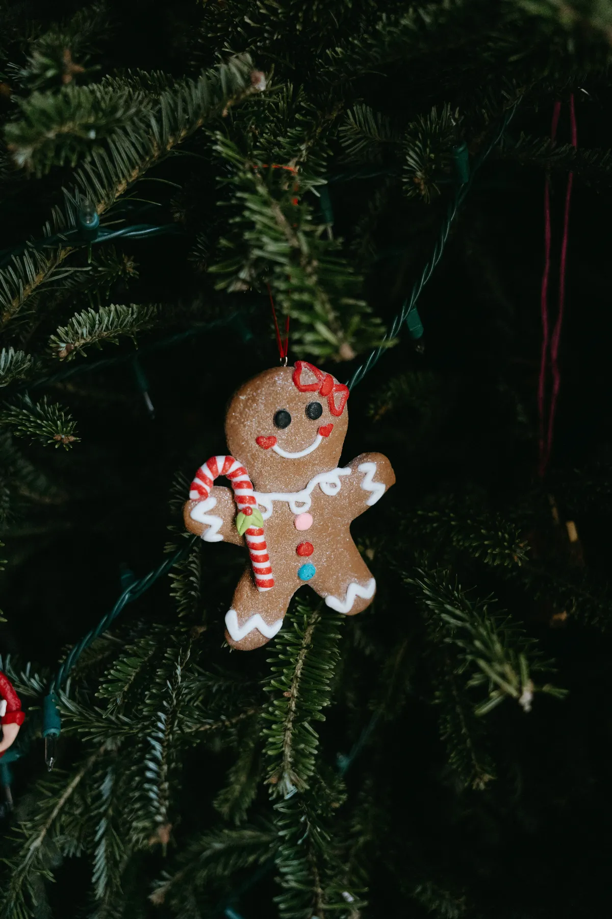 a christmas ornament hanging from a christmas tree