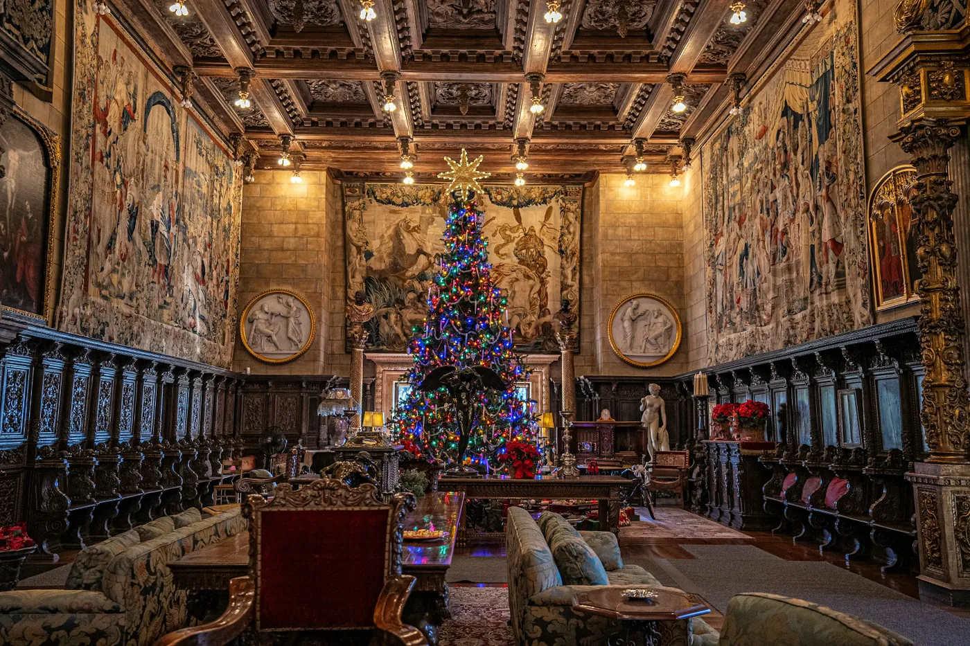 A decorated christmas tree in a large room - Free Photo on Unsplash