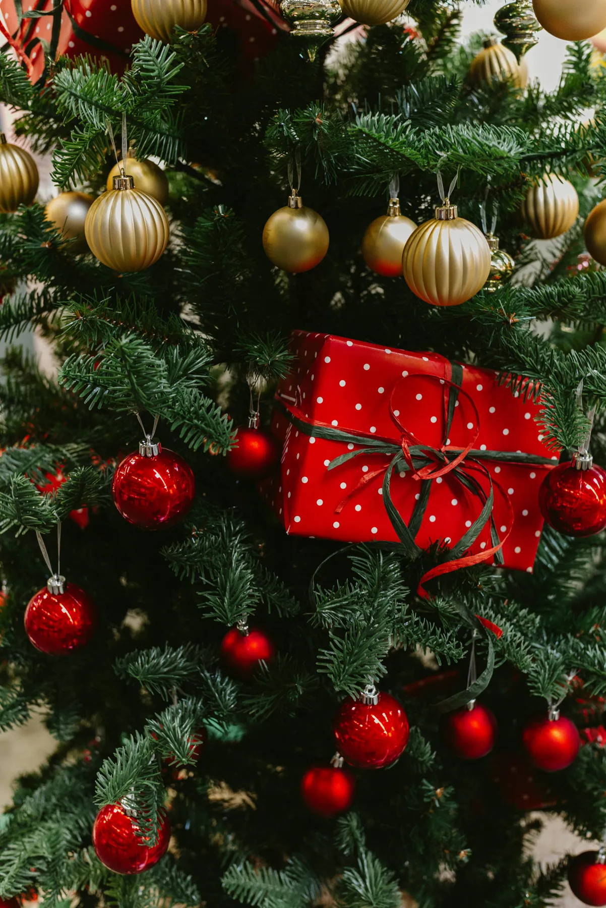 A decorated christmas tree with red and gold ornaments - Free Photo on  Unsplash