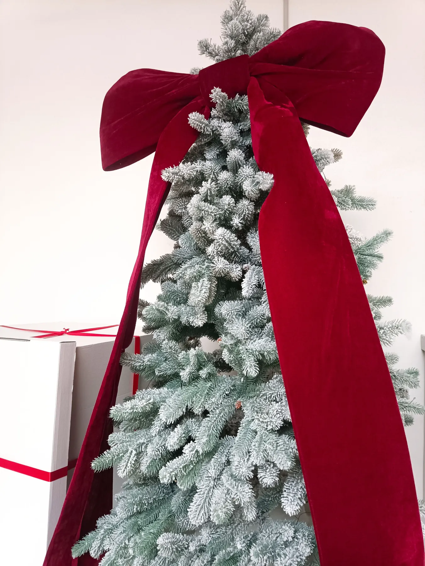 A frosted Christmas tree adorned with a large red velvet bow, creating a festive holiday scene.