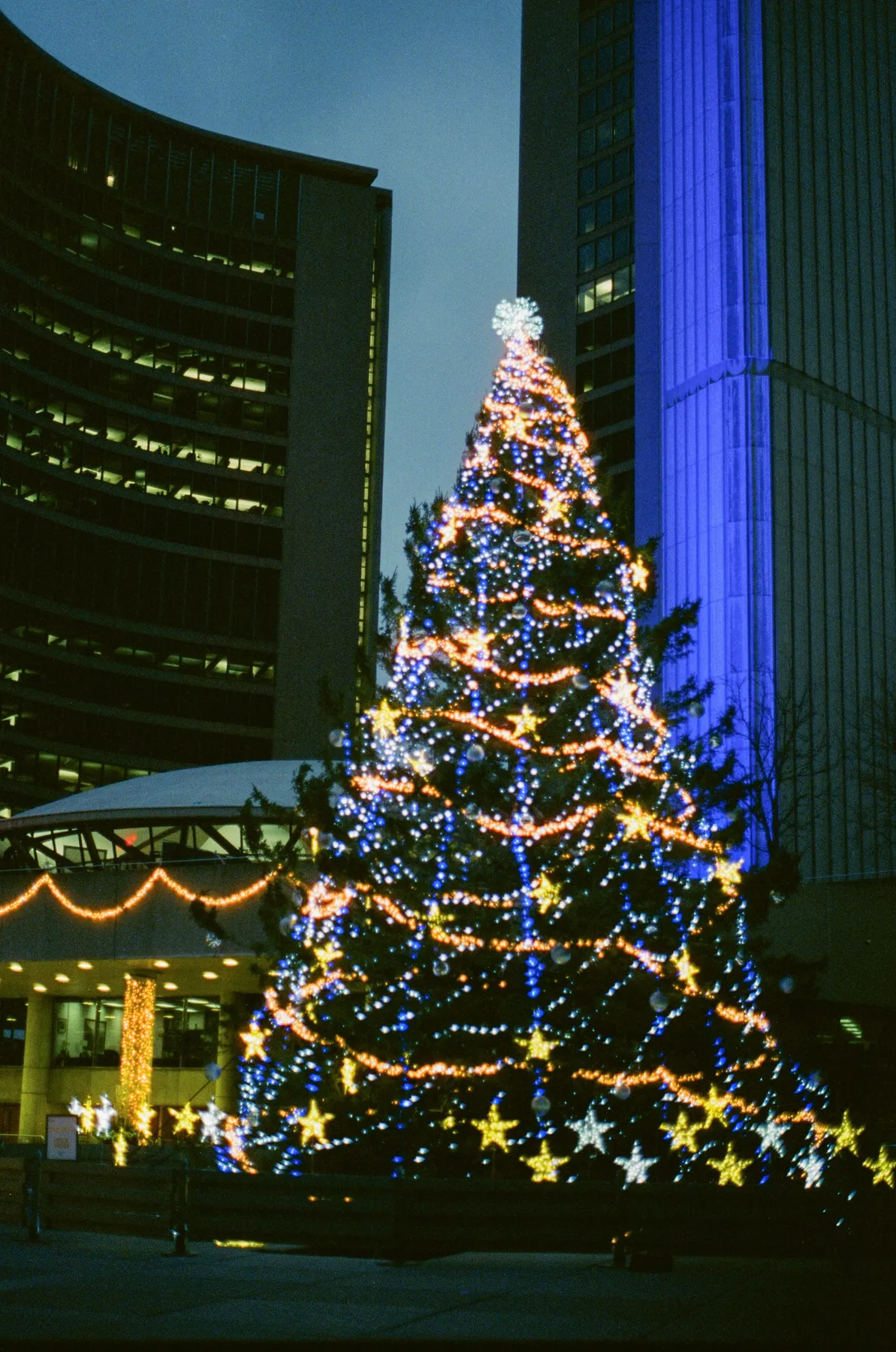 A large christmas tree decorated with blue and yellow lights - Free Photo on Unsplash