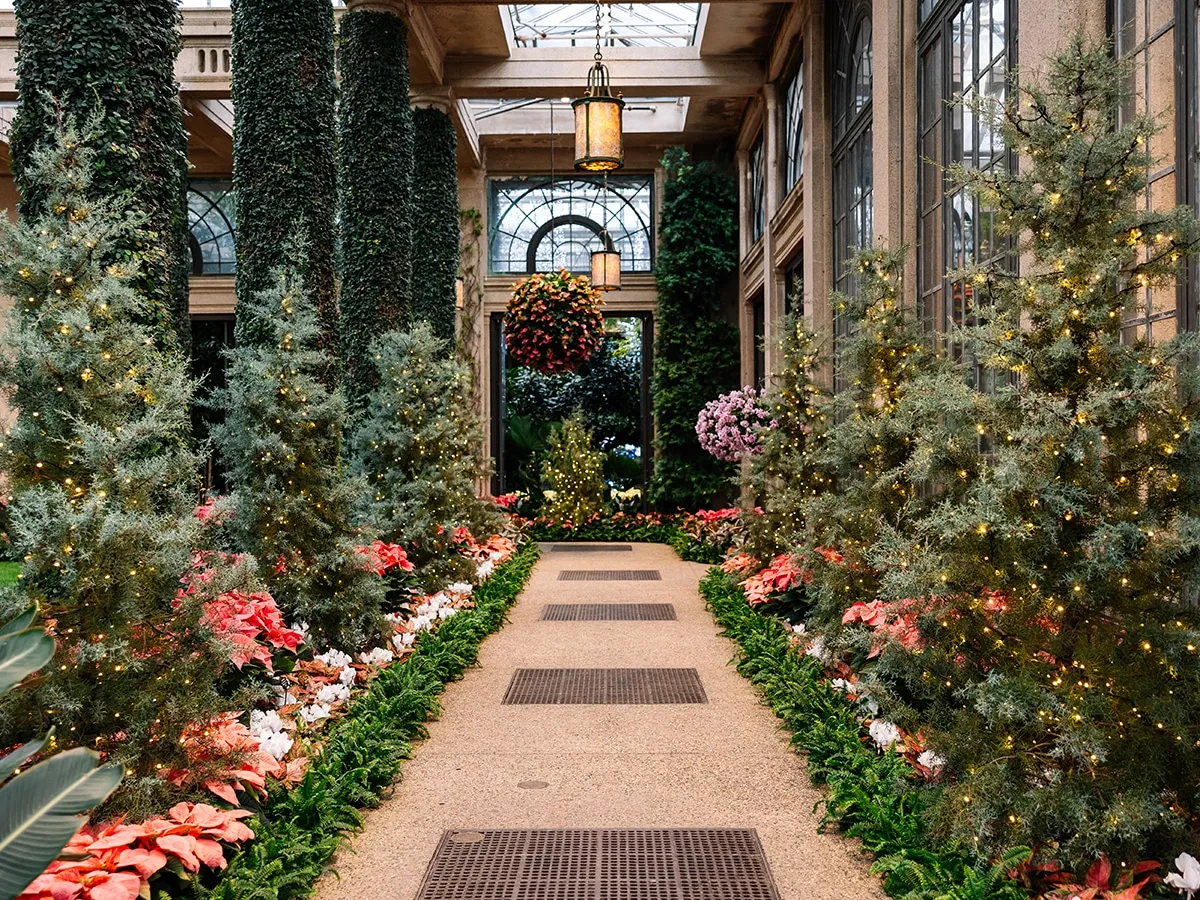 A Longwood Christmas at Longwood Gardens - Campus Philly