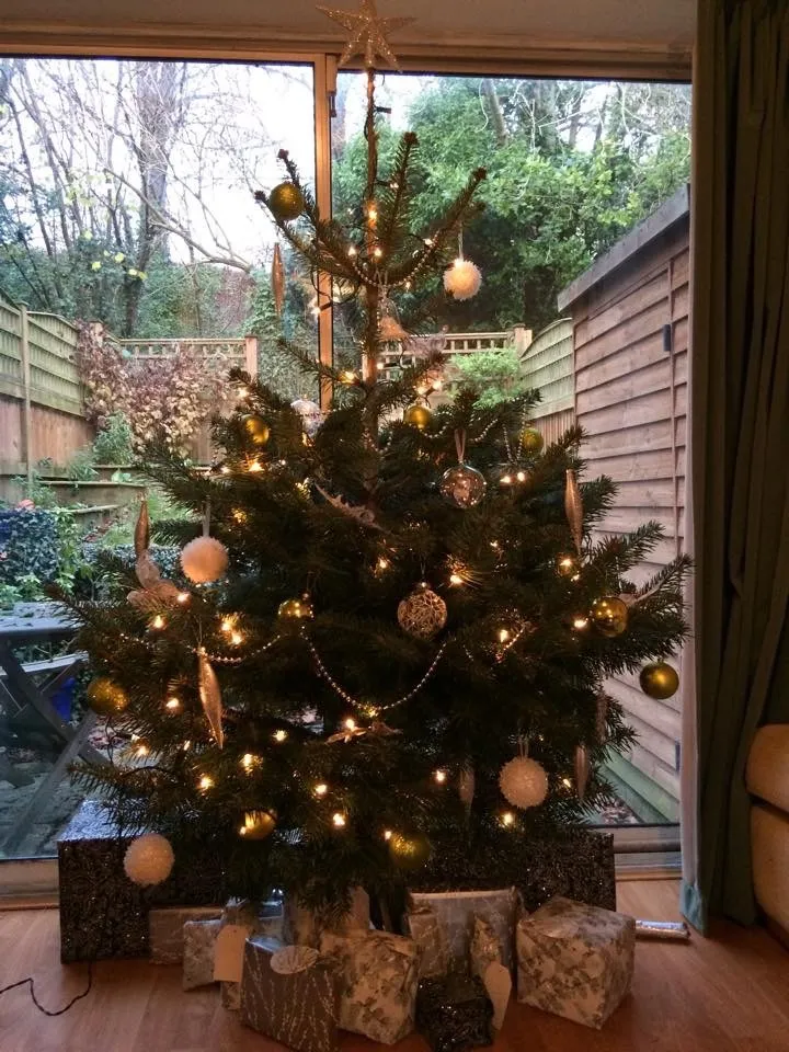 A real Christmas tree that lasts year after year…. – Janna Schreier Garden  Design