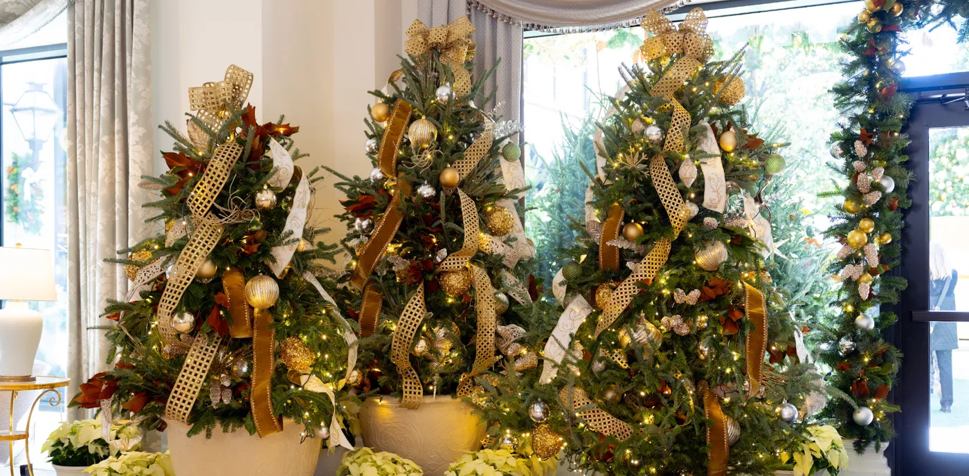 A Southern Christmas: Holiday Hotels in Charleston and Asheville - VUE magazine