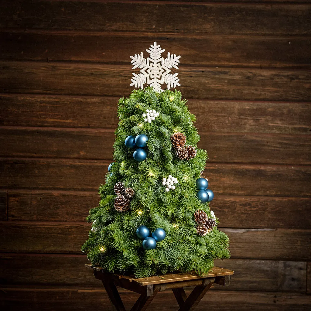 Adorable Tabletop Christmas Trees – Lynch Creek Farm