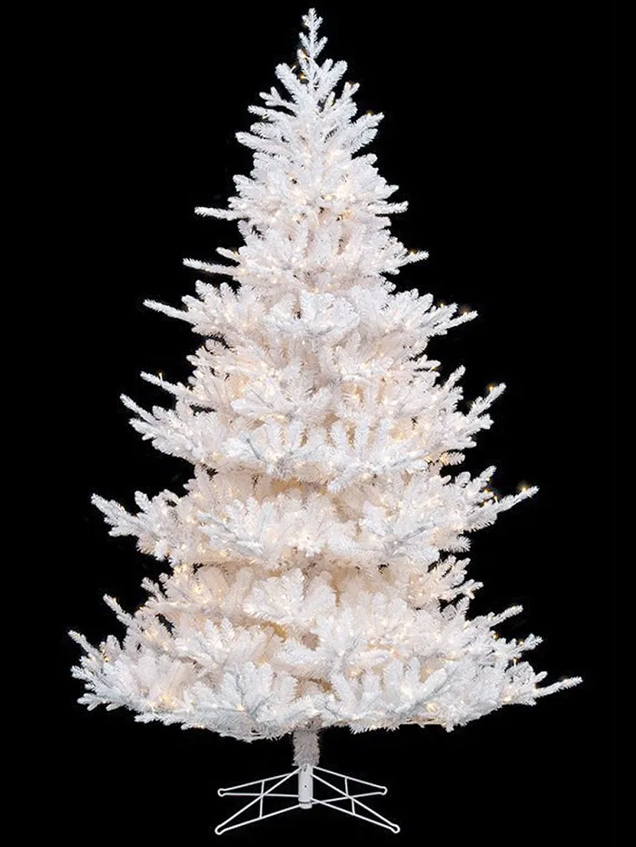 AH Gold Label Quality Christmas Trees - Blizzard White Pine 12 FT