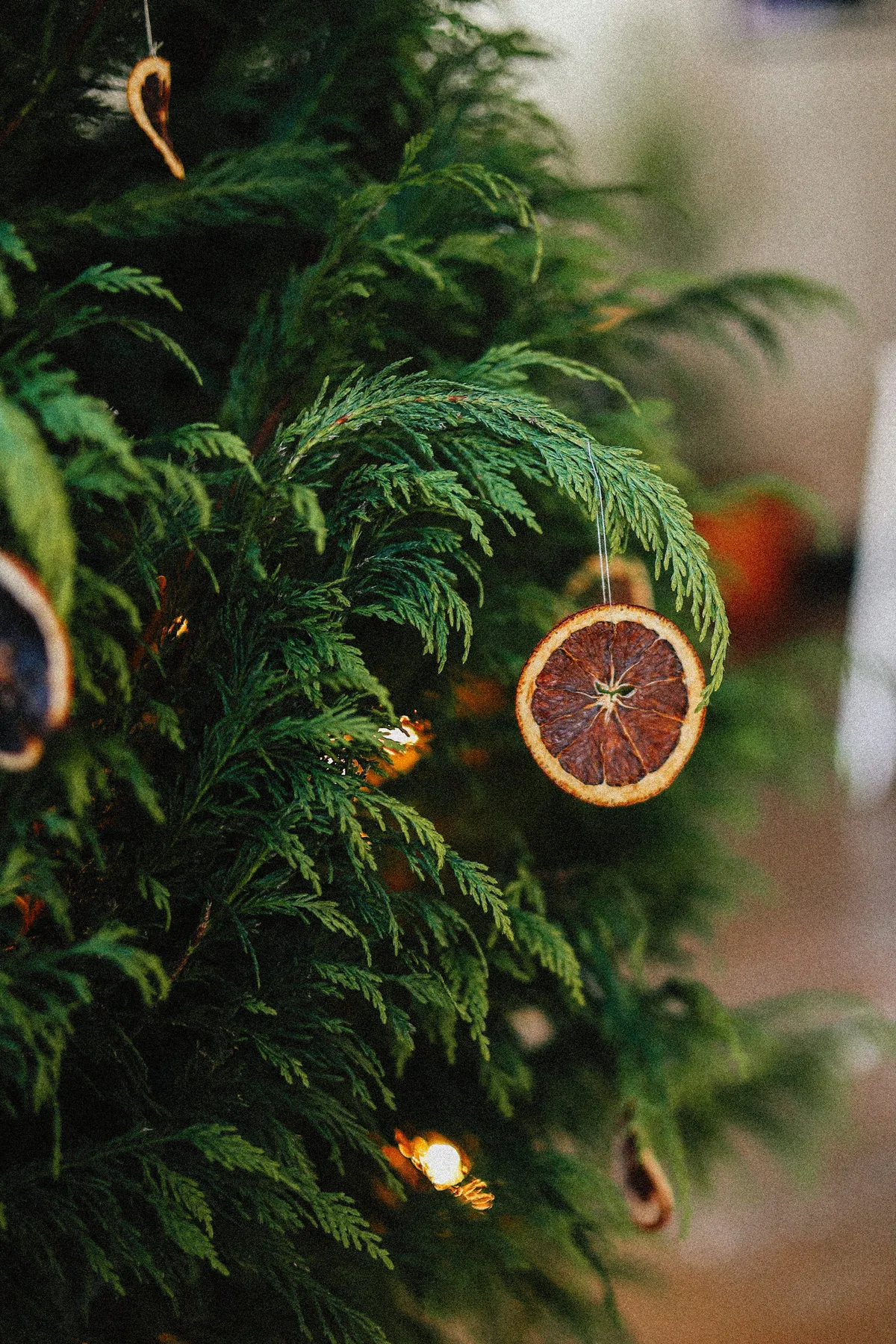 An orange ornament hanging from a christmas tree - Free Photo on Unsplash
