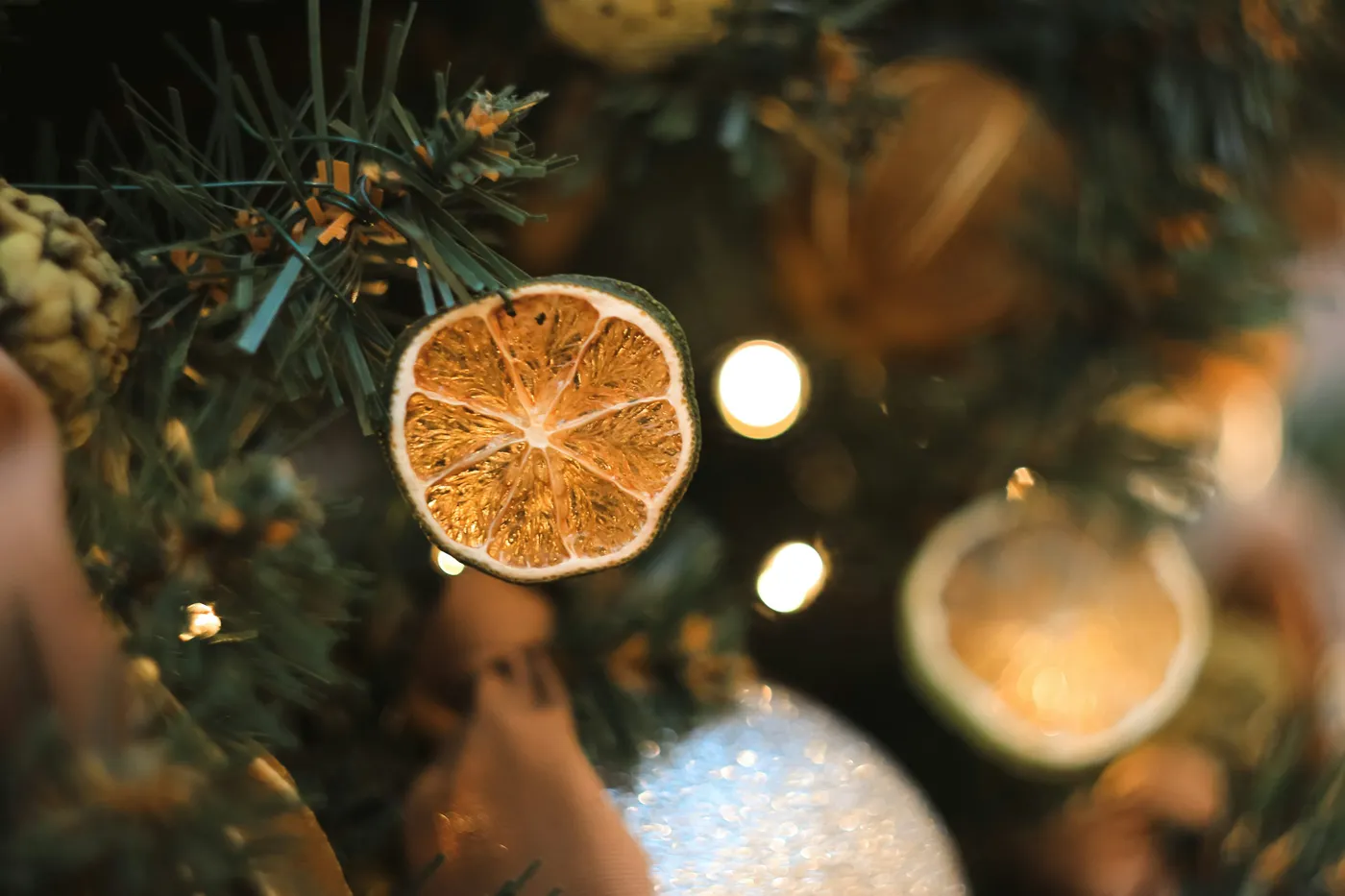 An orange ornament hanging from a christmas tree - Free Photo on Unsplash