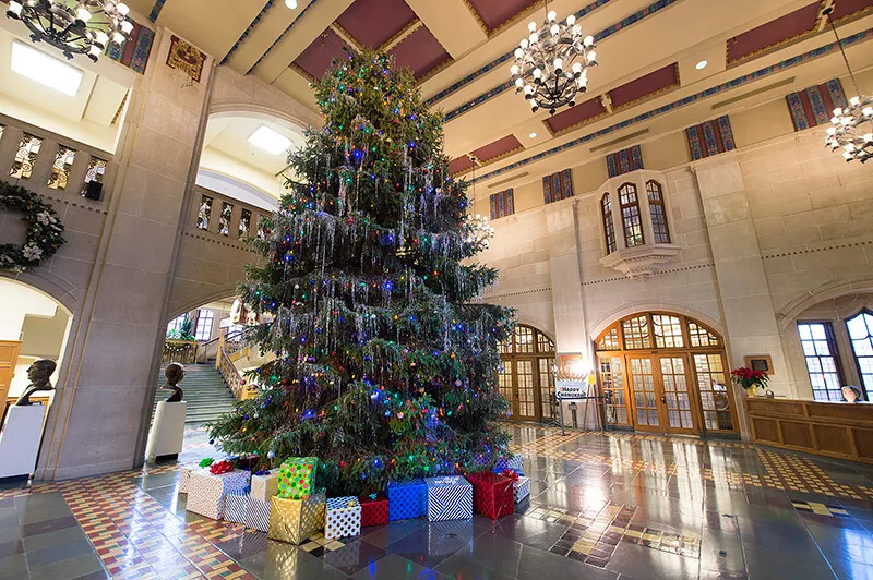 Arrival of 25-foot-tall tree to mark beginning of Holidays at the Union celebration - Purdue University News