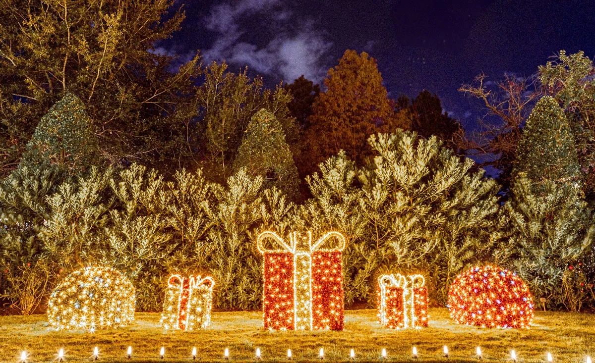 Bellaire Christmas Lighting Installation