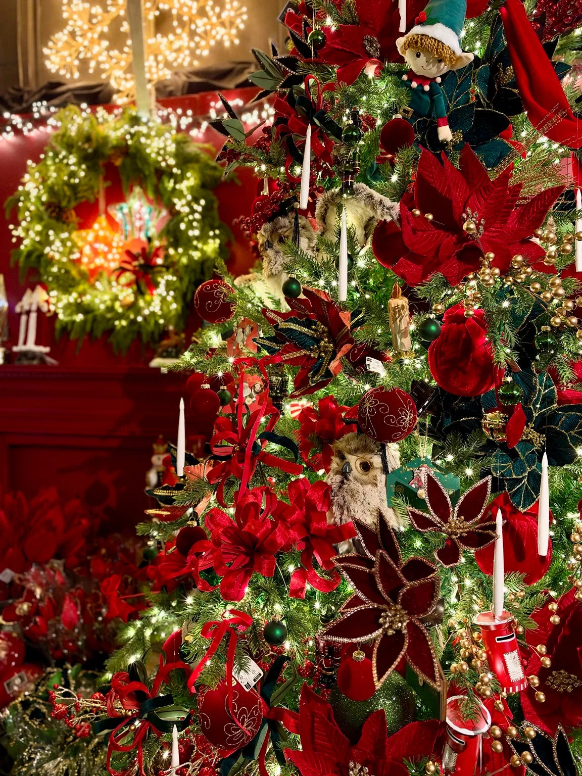 Best Christmas Displays Yorkshire 2026 | Southwood – Southwood Garden Centre