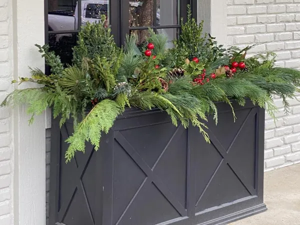 Best Flowers for Winter Window Boxes
