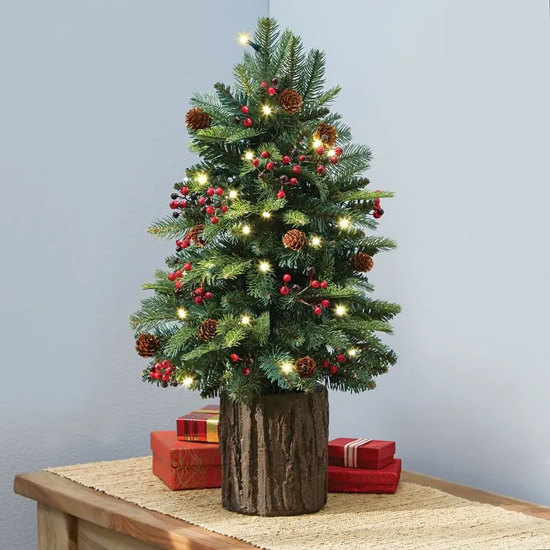Best Live Tabletop Christmas Trees | 2022 | PS Home