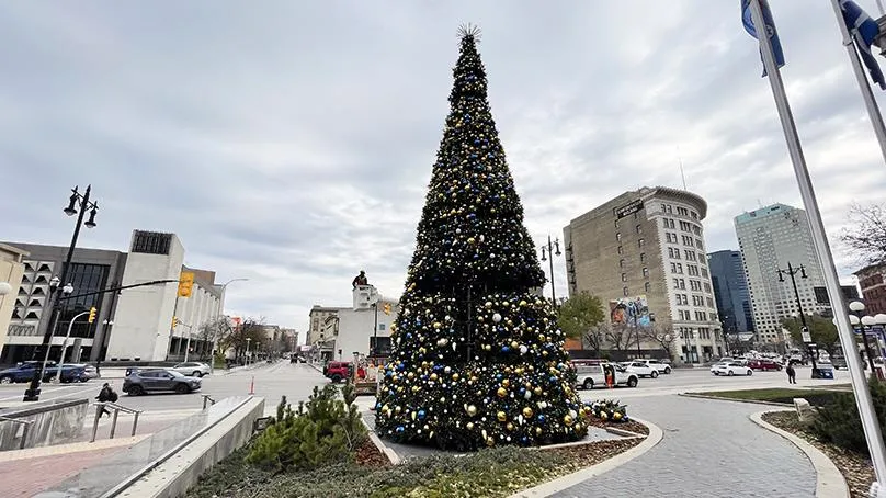 Bigger and brighter Christmas tree going up at City Hall | City of Winnipeg