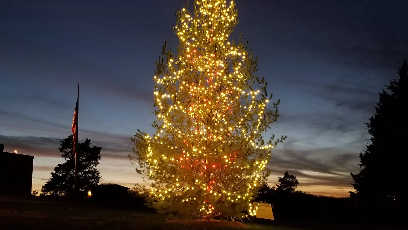 Branson is the place to visit for Christmas tree lovers