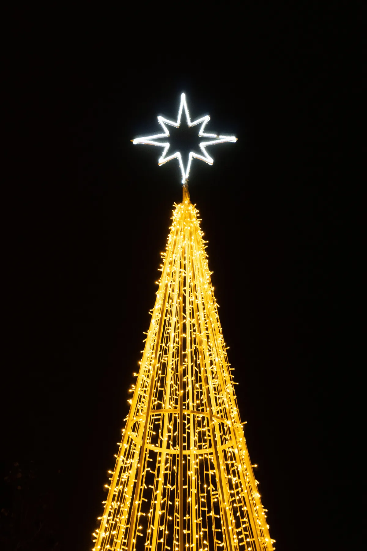 Brightly lit Christmas tree topped with a star against a dark night sky, evoking festive holiday spirit.