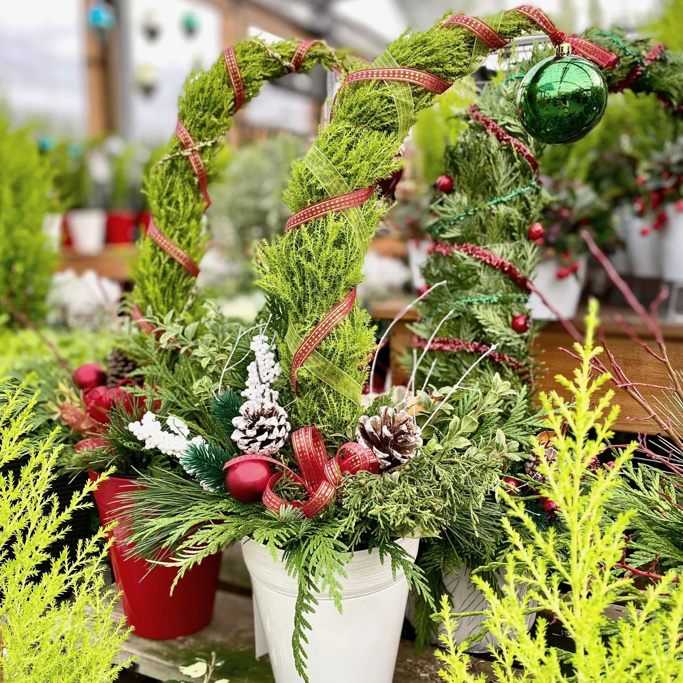 Build a Grinch Tree and Meet the Grinch - December 5 (2:30PM) – Amsterdam Garden Centre