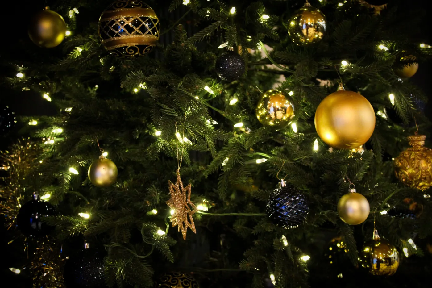 Celebrate Christmas in luxury | Carlton Ambassador The Hague | Carlton  Ambassador