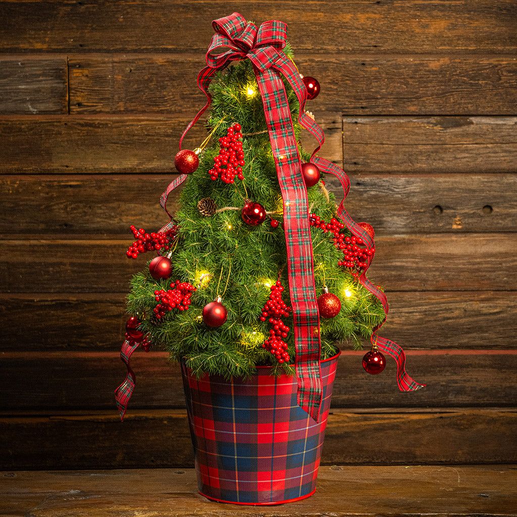Celebrate the Season with Lynch Creek Farm's Elegant Living Christmas
