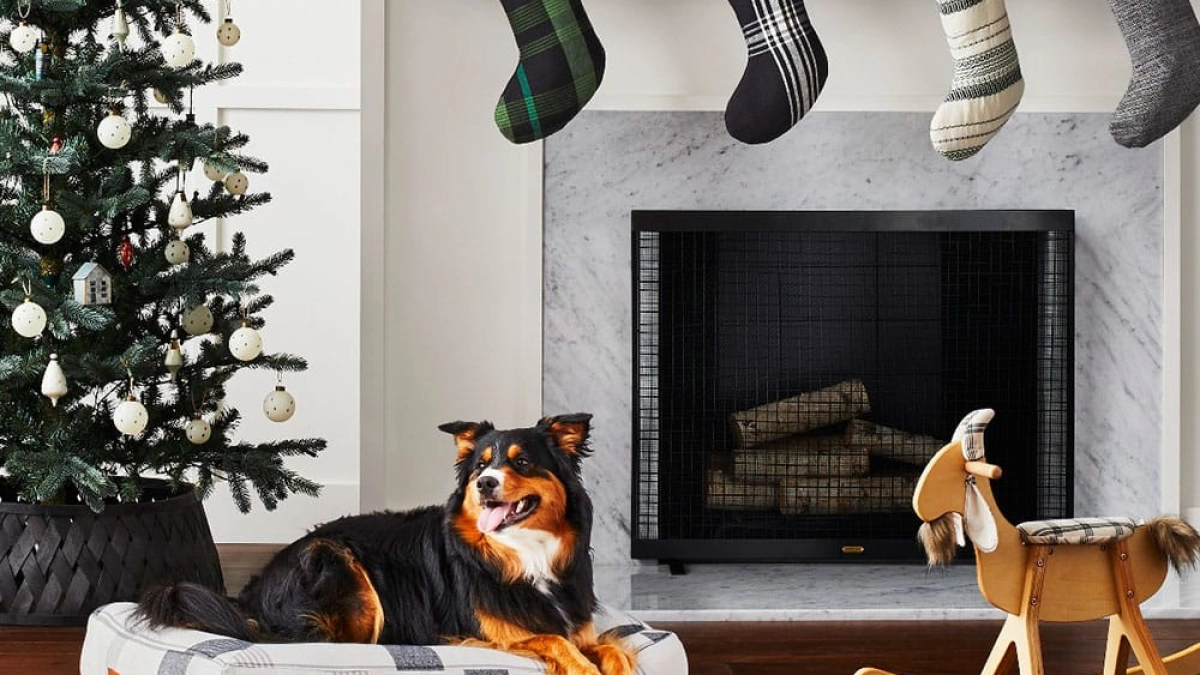 Chip and Joanna's New Holiday Collection Is Their Best Yet - COWGIRL  Magazine
