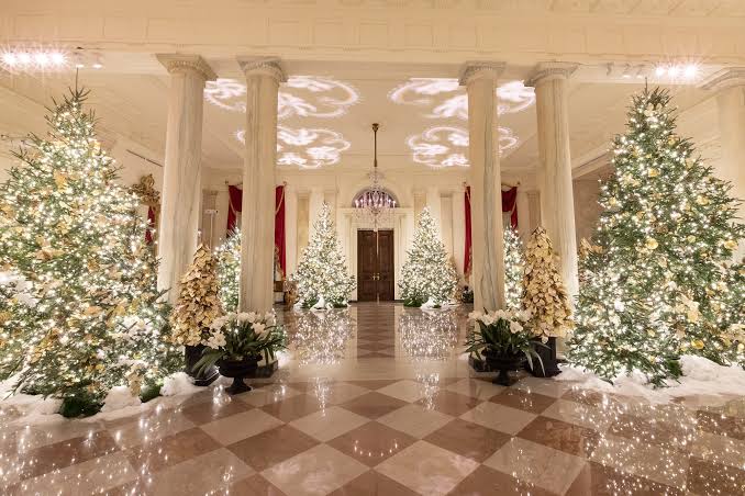 Christmas at the White House Is Dazzling | The Georgetowner