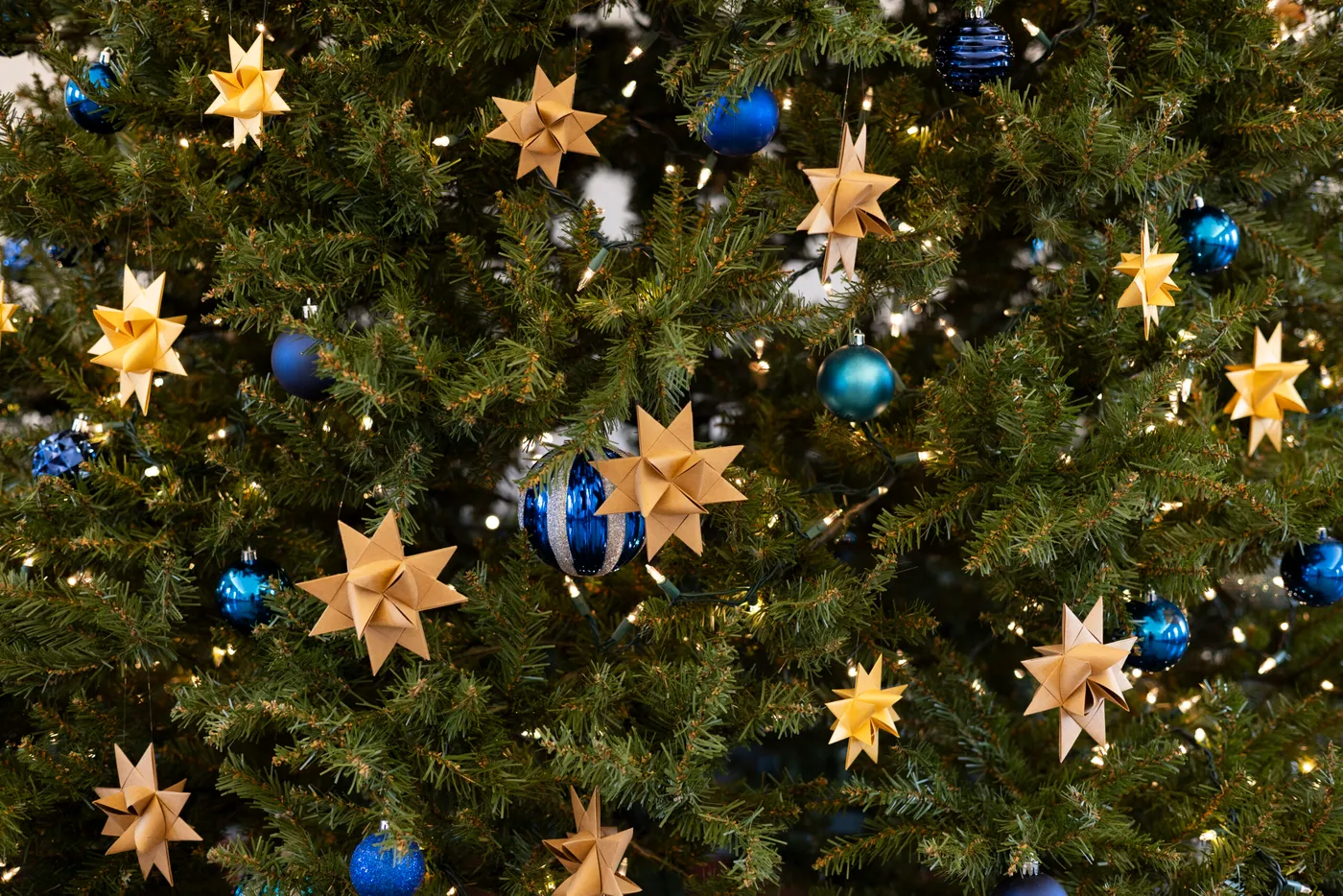 Christmas in July: German Stars - Shaker Village of Pleasant Hill