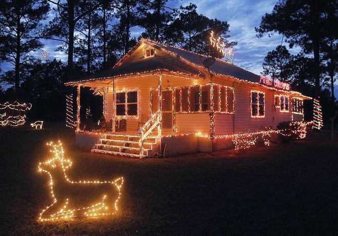 Christmas light display in rural Charlton inspired by critters from  Okefenokee Swamp and forest