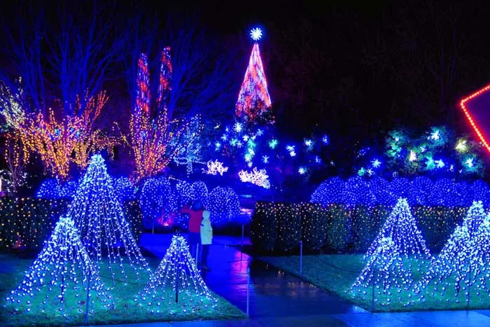 Christmas Lights in Asheville: 8 Best Spots 2022