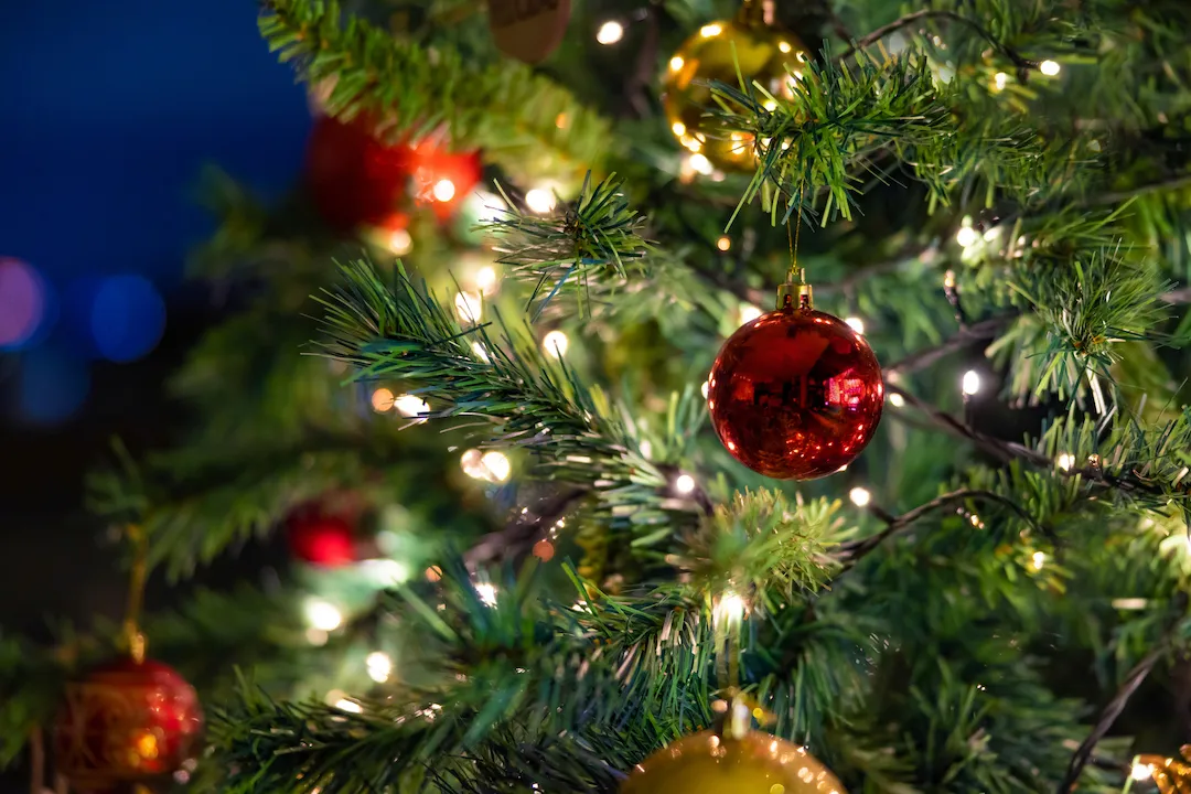 Christmas Message 2025 - KB Website
