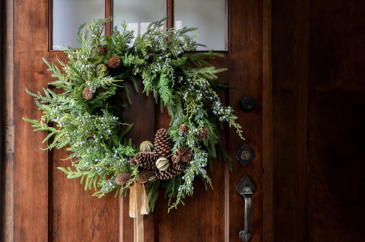 Christmas Plants and Greenery | Afloral