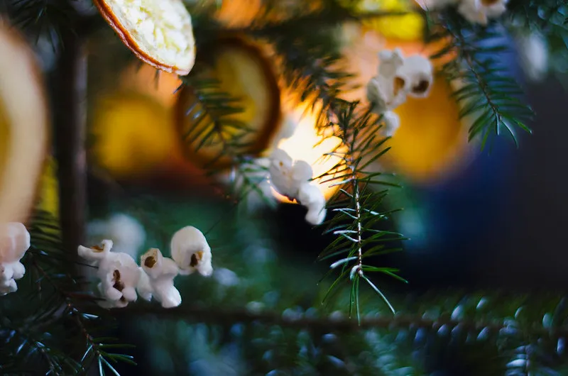 Christmas Tree Decorated With Dried Oranges, Popcorn, and a Cinnamon Star | Juliette Laura