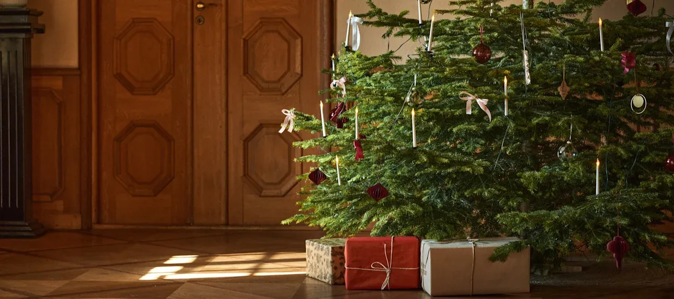 Christmas tree decorating ideas
