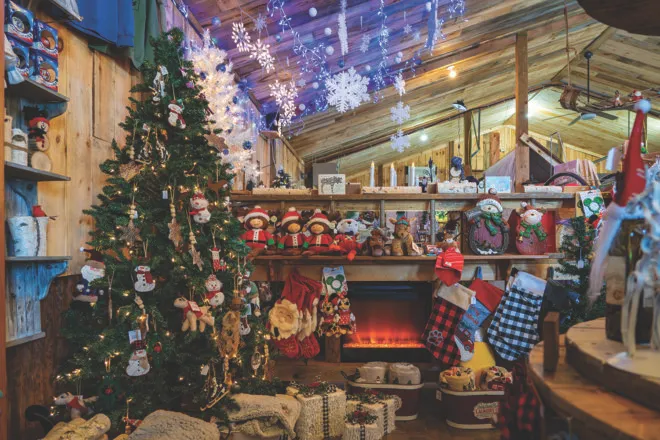 Christmas Tree Farmers Enjoy Their Fresh-Air Jobs - Door County Pulse