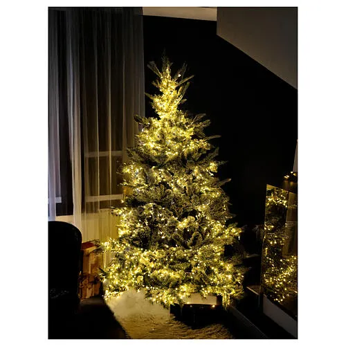 Christmas tree Pine WW 210 cm flocked 3200 LED warm white poly light  effects | online sales on HOLYART.com