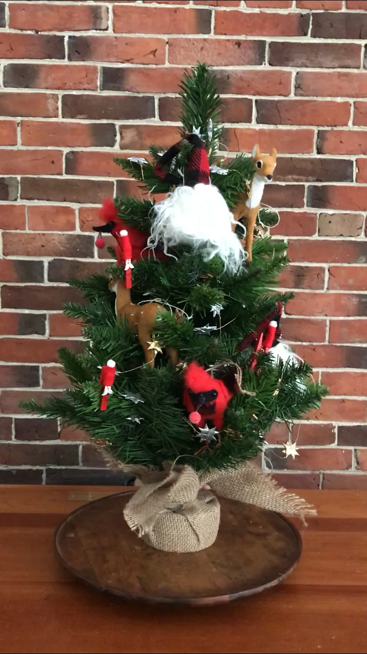 Christmas Tree Raffle — Henry Sheldon Museum