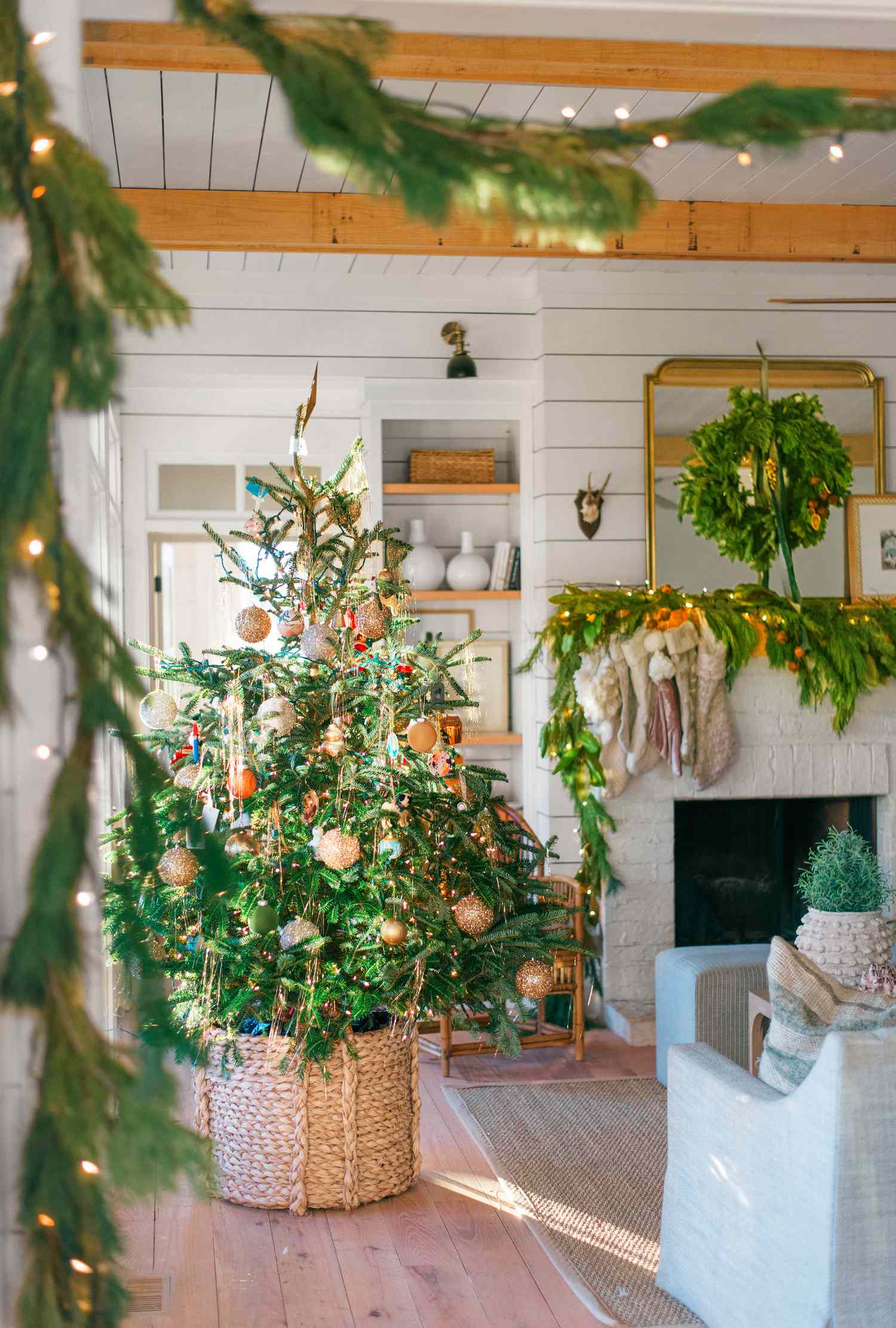 Christmas Tree Trends of 2025
