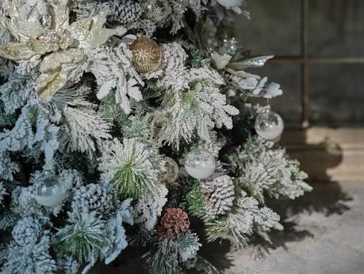 Christmas trees | B2C