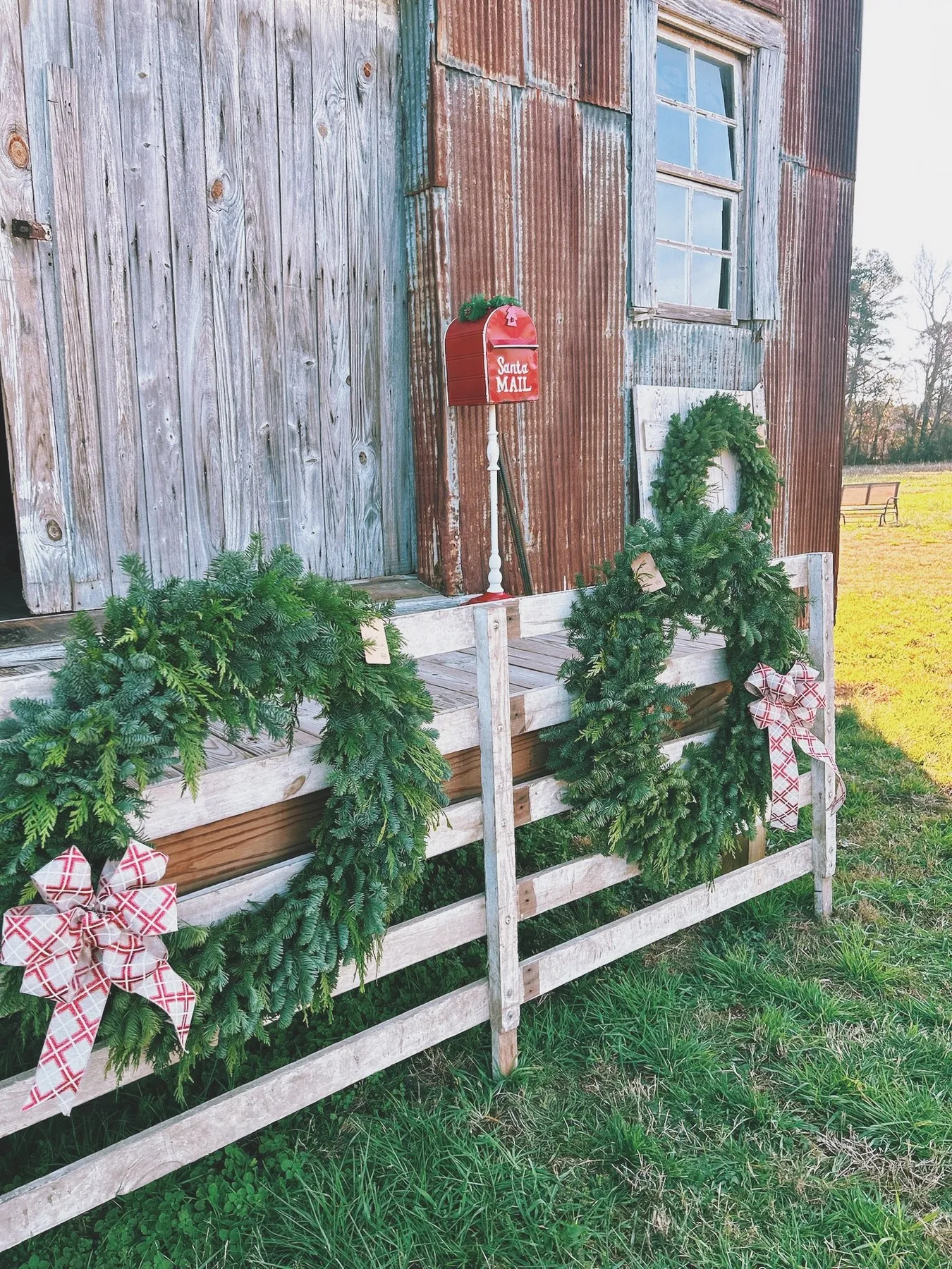 Christmas Trees — Goose Hill Farm