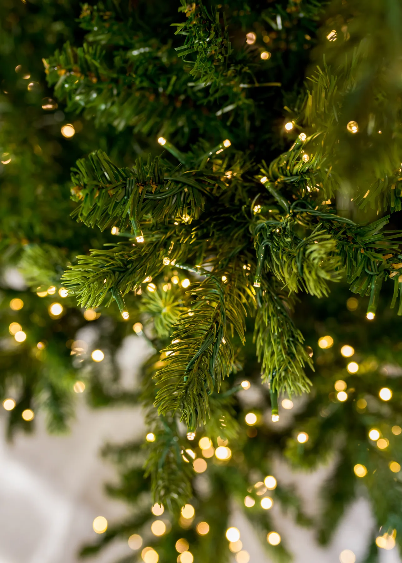 Christmas Trees – Modern Display