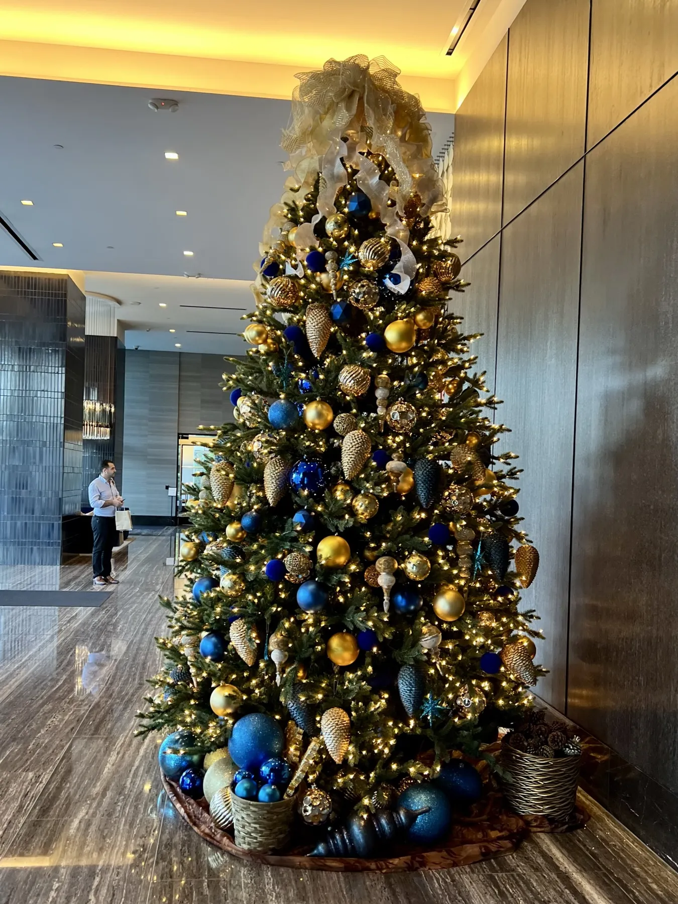 Christmas Trees – Modern Floristry