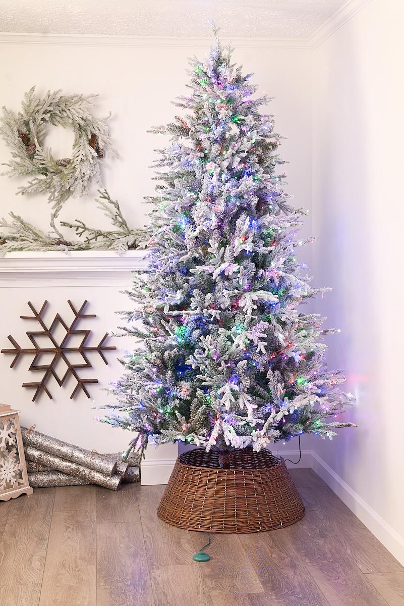 Christmas Trees of All Sizes & Styles | Christmas Place