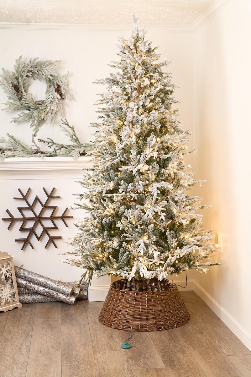 Christmas Trees of All Sizes & Styles | Christmas Place