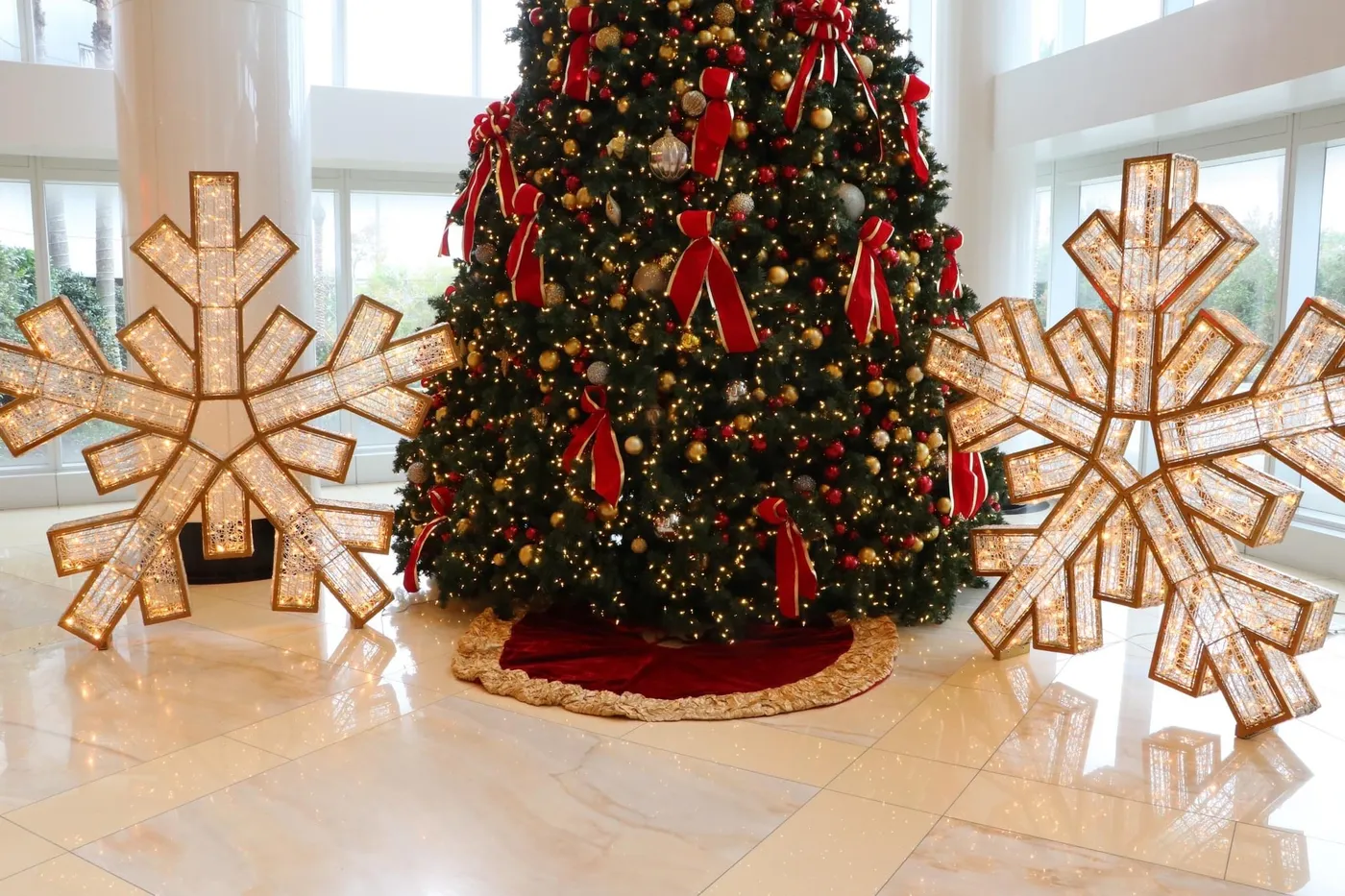 Christmas Trees, Products, & Services In New Orleans - TPG - The Plant Gallery