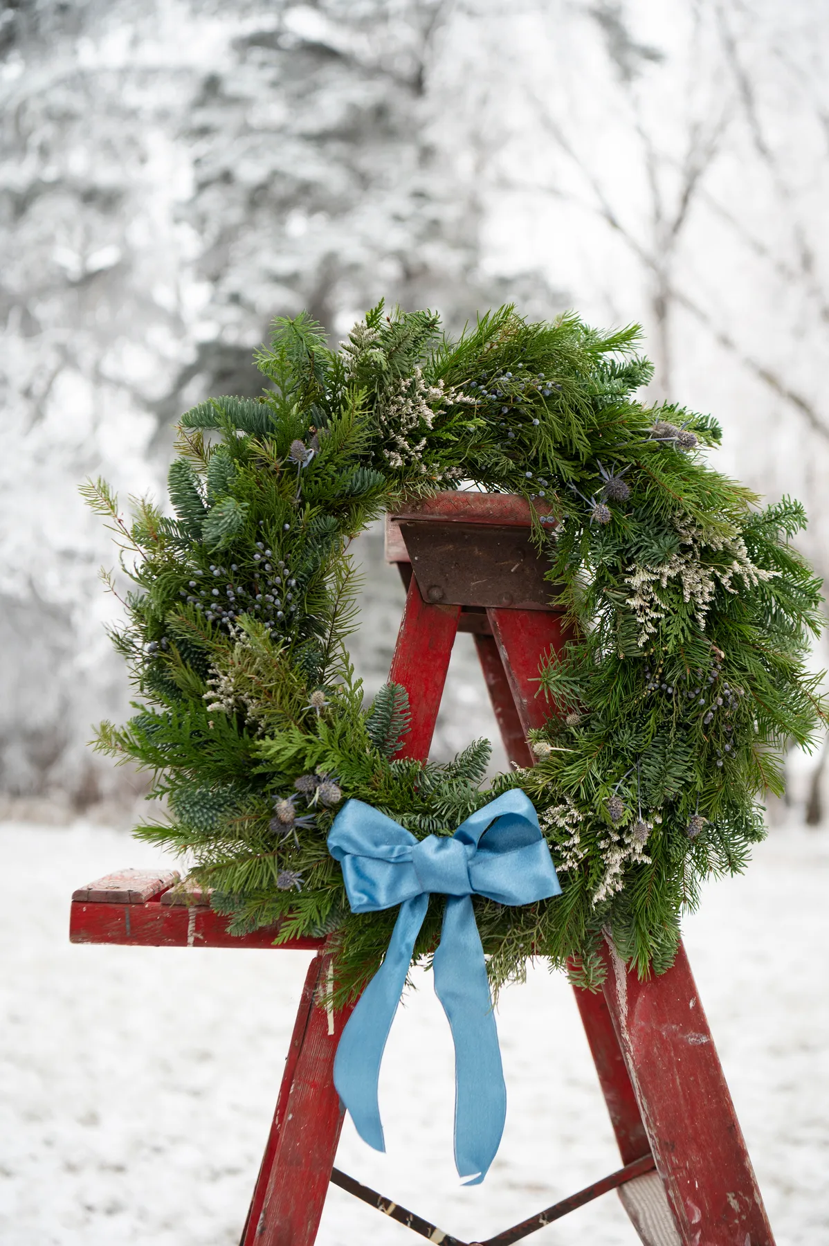 Christmas Wreaths & Planters