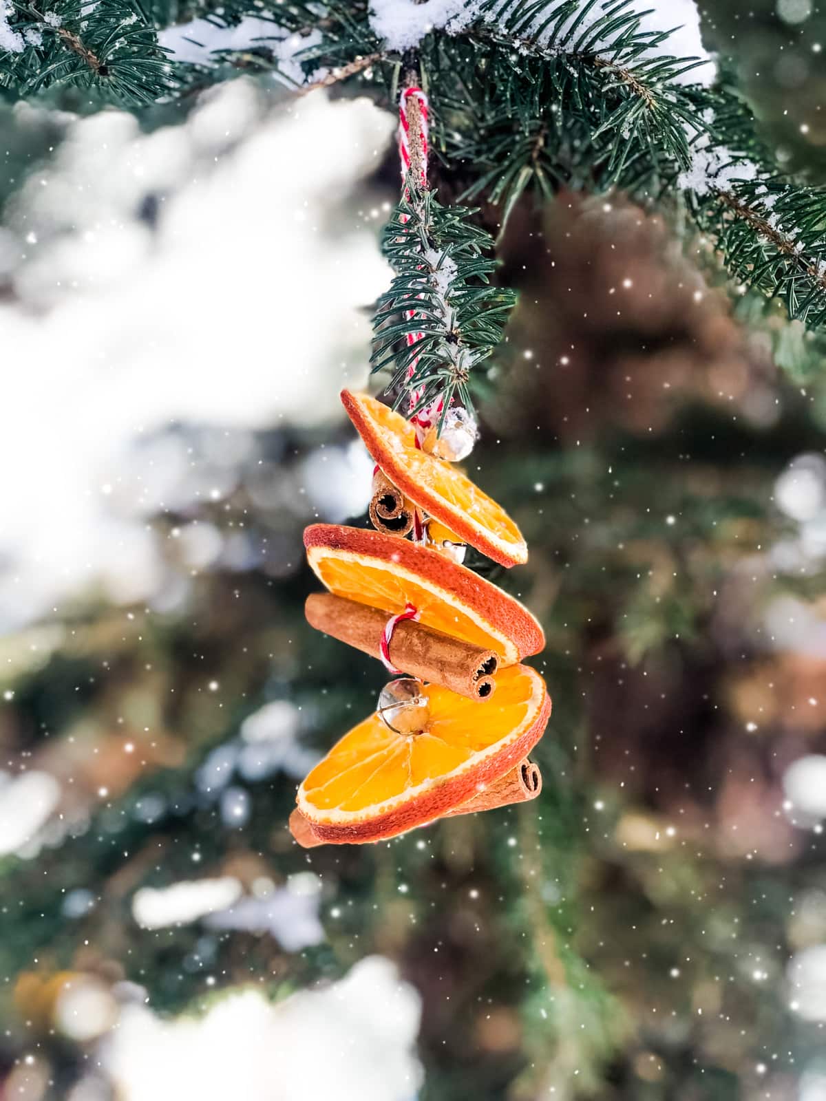 Cinnamon Christmas Ornaments Orange Louise Roe Making Dried Orange Christmas Oraments And Cinnamon Stick Christmas Ornaments